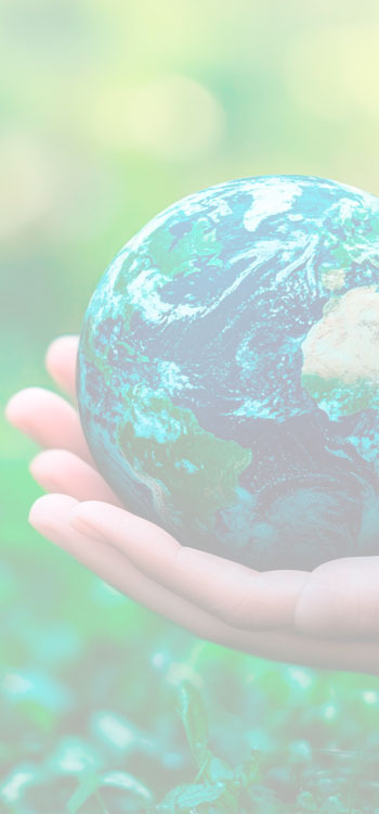 Choisir MF Solutions